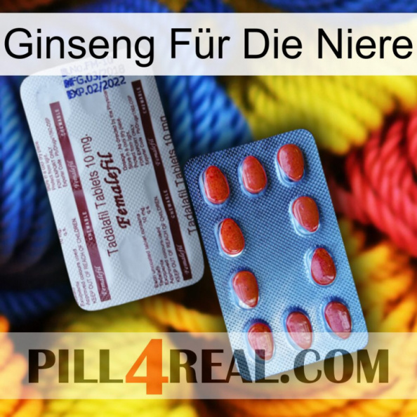 Ginseng Für Die Niere 36